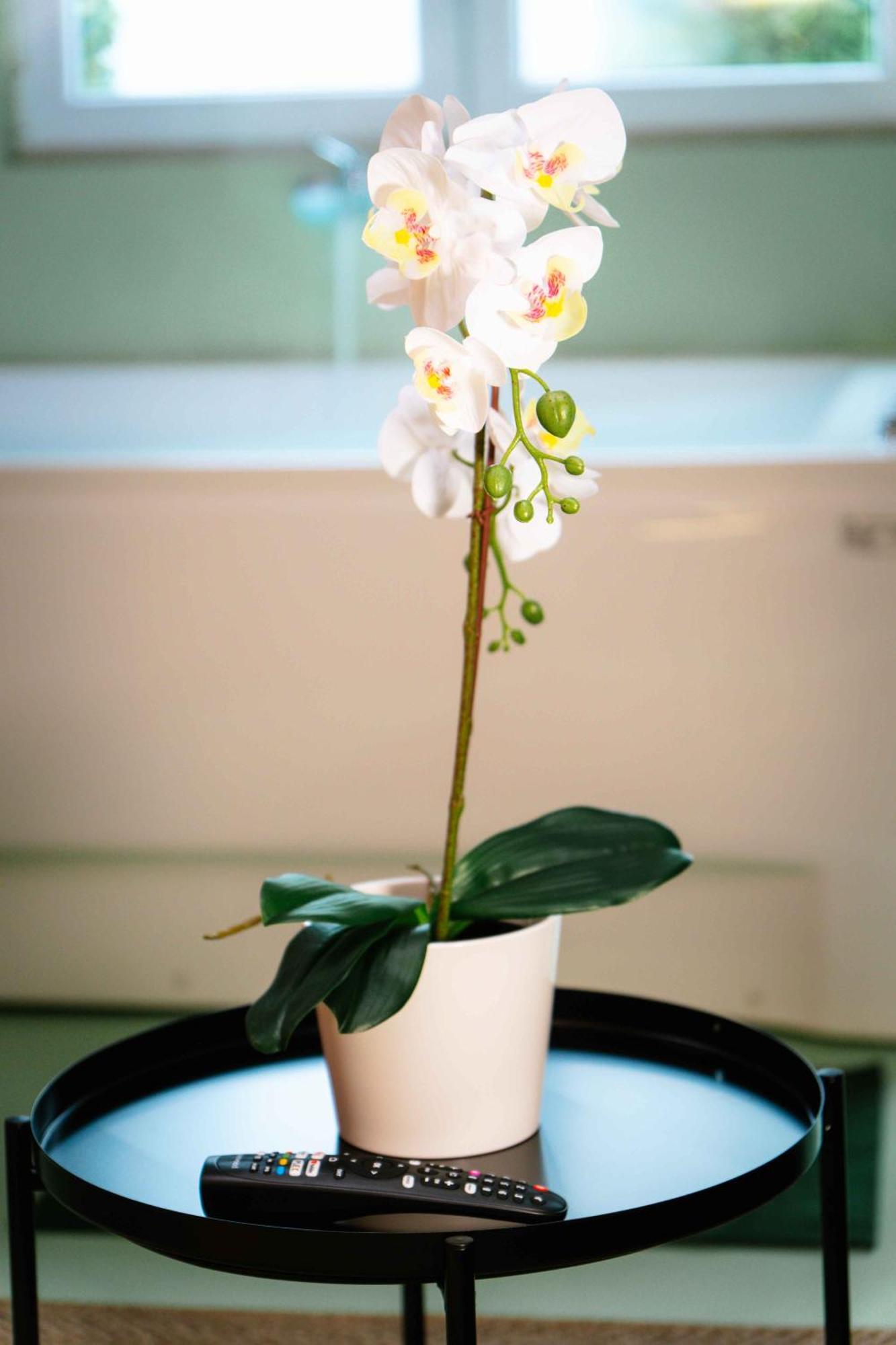 Capsule Flower - Balneo - Cinema - Billard - Nintendo Switch - Mons Centre Extérieur photo